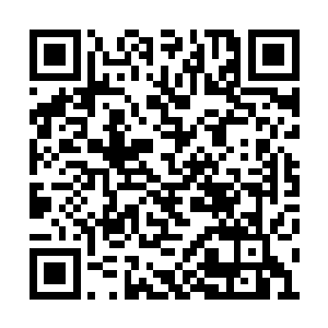 他想看看这个小骗子在来归德之前是如何行骗的二维码生成