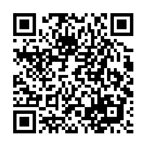他想要亲眼看到夏天他们几个是如何死在这些水怪手中的二维码生成
