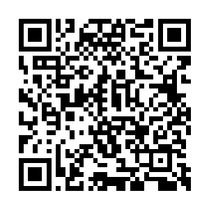 他想要看看这种混沌生灵的战斗力是如何的生猛二维码生成