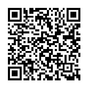 他想要迫不及待的占领这块只能属于自己的沃土二维码生成