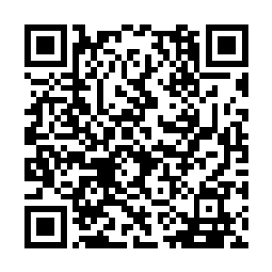 他想起那丫头信誓旦旦的让他一口气报名到六年级二维码生成