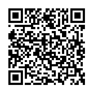 他愕然发现自己吸纳混乱魔力的能力下降了太多二维码生成