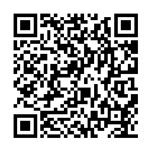 他感觉到自己的匕首柄捣在了这个少年的心窝上二维码生成