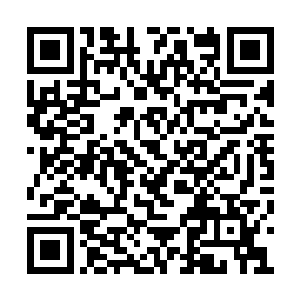 他或许还会遵照血誓协约与吴岩共同攻打黑龙殿二维码生成