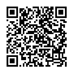 他所施展出来的人剑合一在这股巨大的力道面前二维码生成