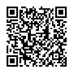 他所看到的未来的一角带给他的震撼实在是太大了二维码生成