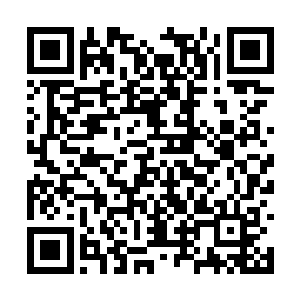 他手下又是一百万头可以在真空中呼吸和飞翔的猪二维码生成