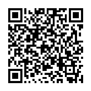 他手下的几个佣兵一起向着火力点的方向投掷手雷二维码生成
