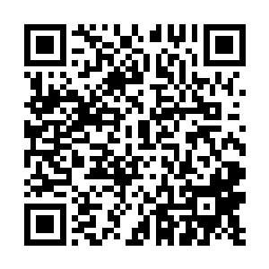 他手中的那柄先天仙剑竟然承载不住那种大道的力量二维码生成