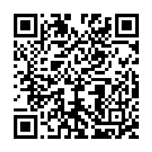 他手拿着的扁担在被濮阳七夜的手掌碰到之后生生被拧断了半截二维码生成