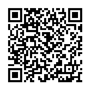 他手掌里面的真气刚刚释放出来触碰到她的身体二维码生成