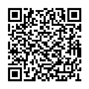他才发现真正的麻烦不是找个人来带路打开宝库二维码生成