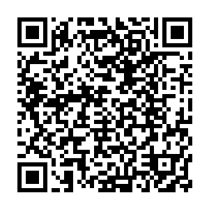 他才有可能利用对方的生命能量修补他因为多次转移而造成的灵魂损伤二维码生成
