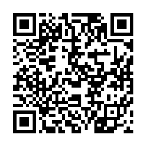 他才知道当初食骨部的那几位巫王为何特别想抢夺他的圣物二维码生成