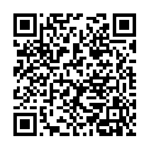 他打完每一招都小心翼翼观察虎形兽的下一步动作二维码生成