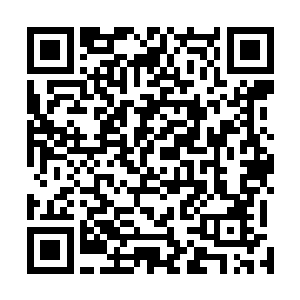 他把这个重要的职务留到选举之时再来定夺就含有深意了二维码生成