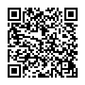 他抬头看了一眼远处道场上方那已经开始一会儿的天劫二维码生成