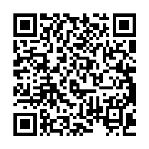 他担心自己辜负无数犹太同胞们的期望……史蒂文肩膀上的重担二维码生成