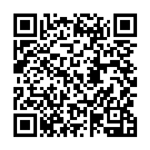 他拿起龙天漪刚刚放到沙发上的擦过头发的毛巾抱在怀里二维码生成