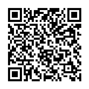 他指的是没事叫智慧女神刷钱玩毕竟不是一个好习惯二维码生成