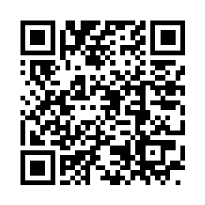 他挑选了最重要的战斗模块优先解锁二维码生成