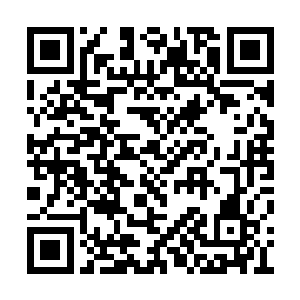 他捧场的反应让周围的人群都发出了兴奋的笑声二维码生成