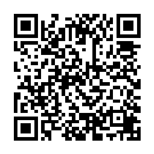 他接到的第一个任务就是如果有机会想办法弄死夏天二维码生成