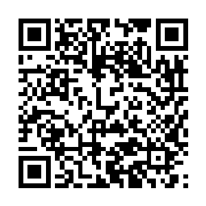 他接过她双手奉上的筷子不慌不忙地夹了一口菜放进嘴里二维码生成