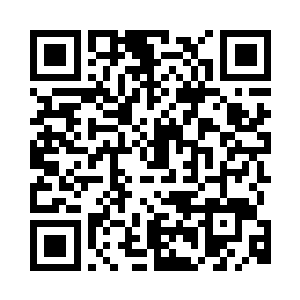 他支持大将军做的一切事情和决定二维码生成