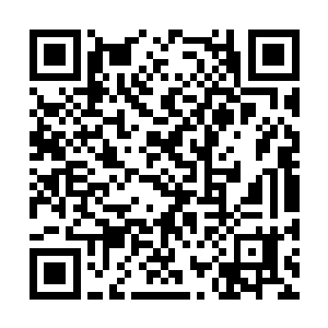 他料定元瞋等人发现自己离去的时间一定不会太早二维码生成