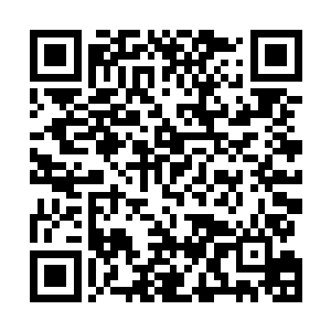 他既不能眼睁睁看着盘古族或者女娲族的首领去进行测试二维码生成