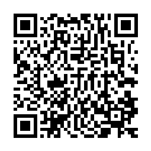 他明明知道刘山琦这样的人到这里来夺取我华夏上古文明的遗物二维码生成