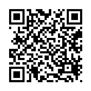 他明白紫铃为什么要一千万颗天珠二维码生成