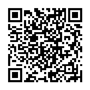 他是不是打算在打败我之后逼着我放弃你们的契约二维码生成