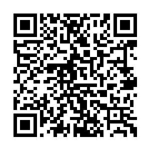 他是亲眼看着自己的刀子一点点的接近他的后心二维码生成