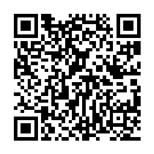 他是准备等第二个诅咒发作的时候出手彻底了结我的性命二维码生成