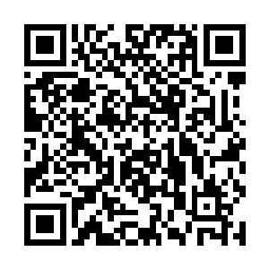 他是在考验自己……是不是连自己的亲人都要牺牲掉二维码生成
