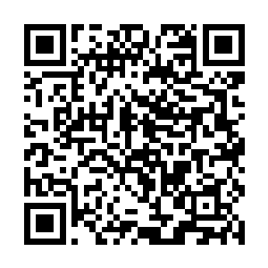 他是少有的影响力能够与电影明星媲美的电视剧演员二维码生成