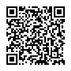 他是战队里唯一打过第一届德玛西亚杯的老队员二维码生成