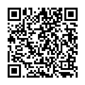 他是注定看不到方凌的身躯被剑光斩断的场面了二维码生成