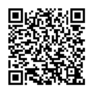 他是真想跟赌王说自己是一脚把你孙女给踢破的二维码生成