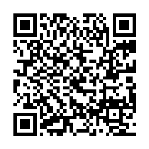 他是真正的看着整个天使文明开创出来的观众和参与者二维码生成