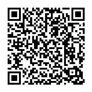 他是被王九九素面超天却清爽俏丽的容貌和举手投足间的气质所吸引二维码生成