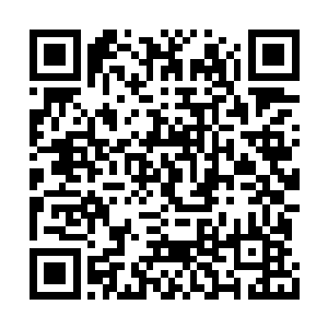 他曾经听老人们说起过深山里面有这样一种毒蛇二维码生成