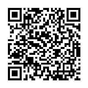 他曾经自嘲说自己只不过是一个替世界树修剪枝桠的工人而已二维码生成