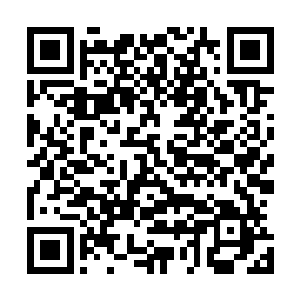 他最不敢面对的未来就是有一天小怡会知道他接他回来的真二维码生成