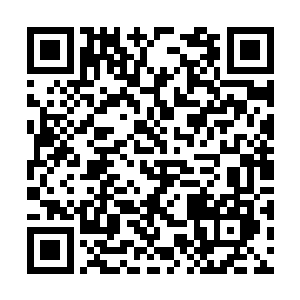 他最后都会利用他那强大的实力和底牌进行化解的二维码生成