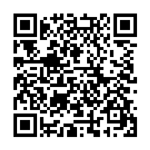 他最看重的便是这件对一般人来说没什么用的衣服二维码生成