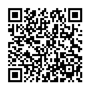 他最近还计划着把手机的功能加入妮娜的项圈里二维码生成