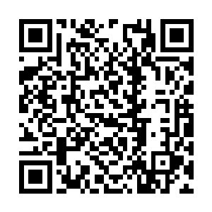 他有一千种办法可以让青桐乖乖把万兽无疆交出来二维码生成